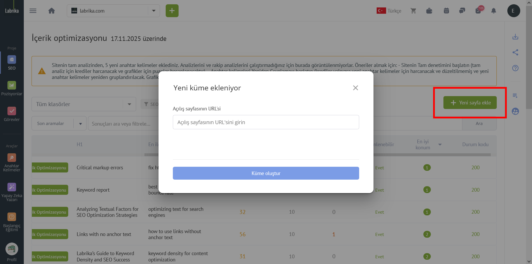 İçerik Optimizasyonuna Başlama Rehberi