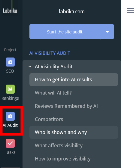 AI Visibility Audit