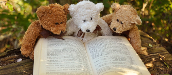 Cómo optimizar el atributo alt en imágenes web: guía SEO práctica