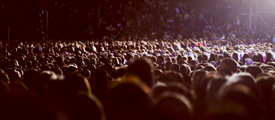 इंडेक्स ब्लोट क्या है? SEO में इसके प्रभाव और समाधान