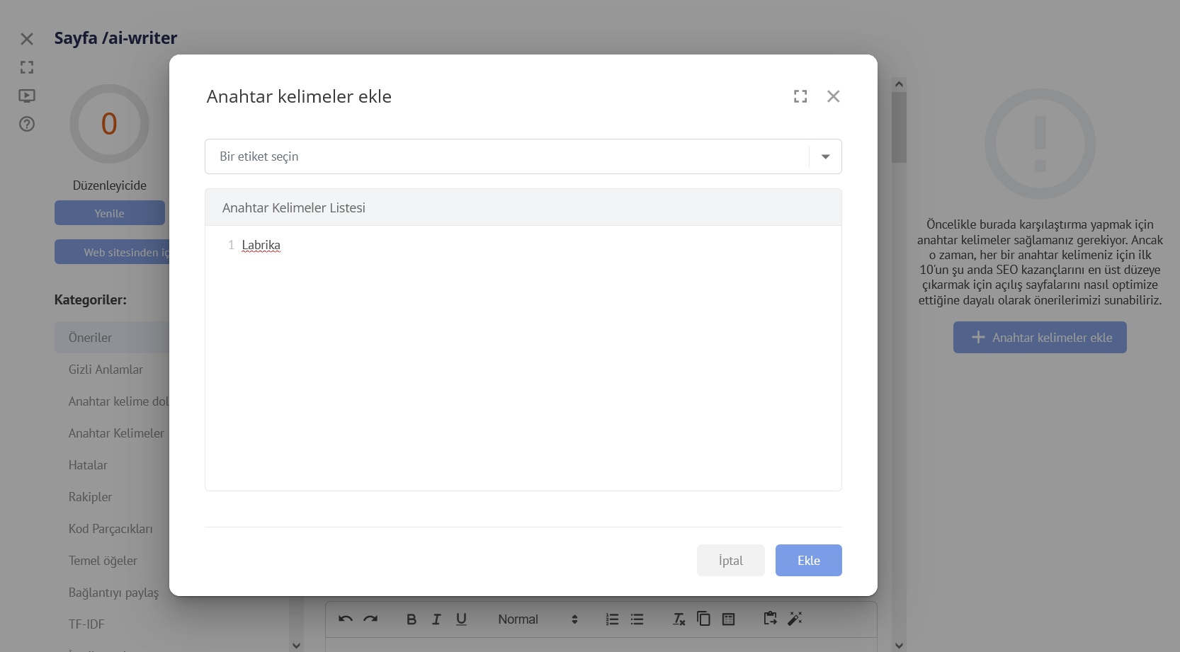 İçerik Optimizasyonuna Başlama Rehberi