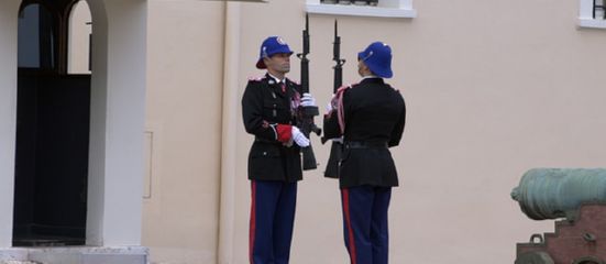 Cómo Evitar y Solucionar Contenido Duplicado en tu Web