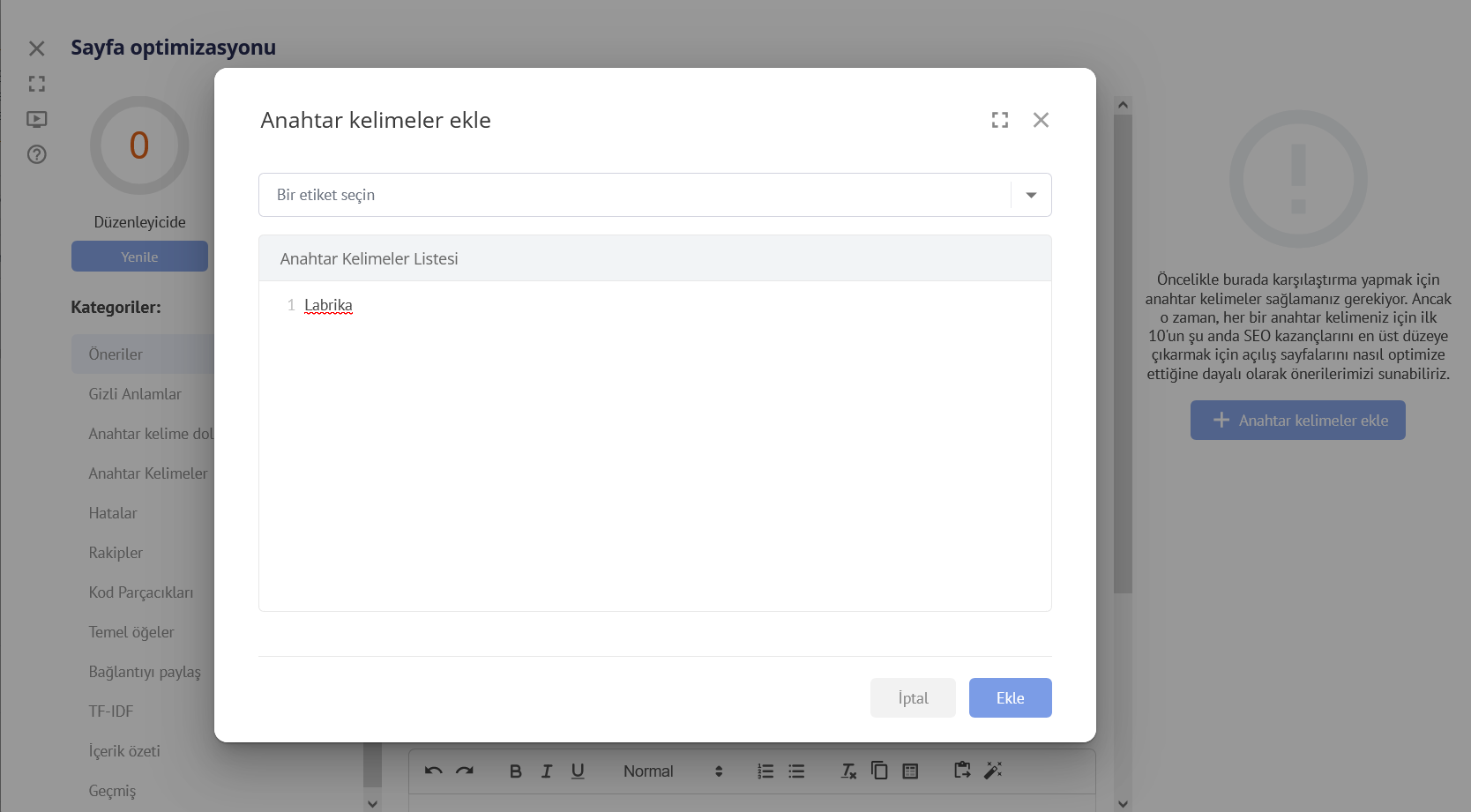Labrika İçerik Optimizasyon Aracı: Tam Potansiyelini Kullanma ve Adım Adım Kılavuz