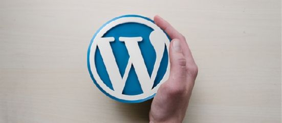 Melhore a Indexação e Visibilidade das Imagens no WordPress com Técnicas Eficazes