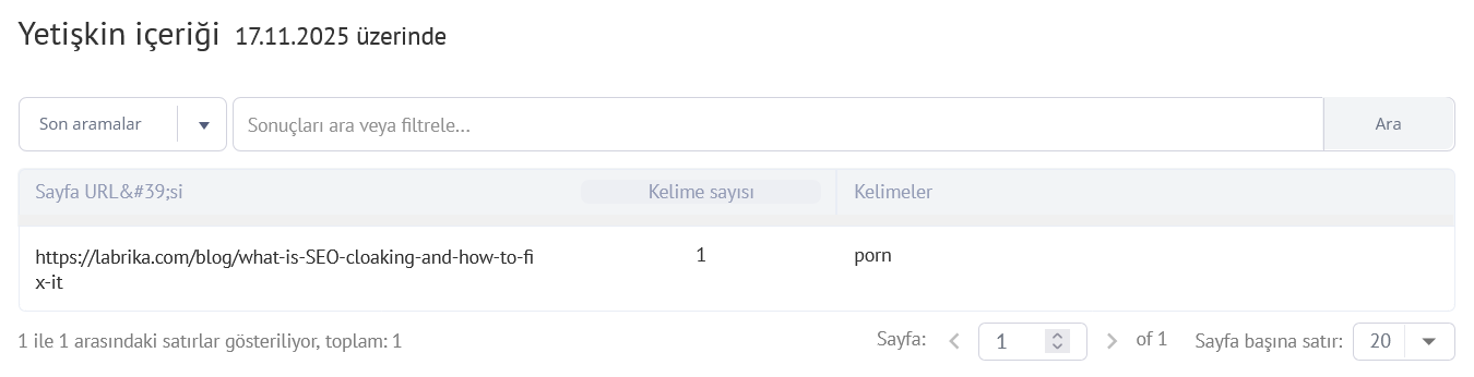 Yetişkin İçeriğin SEO Sıralamalarınızı Nasıl Zarar Verebileceği