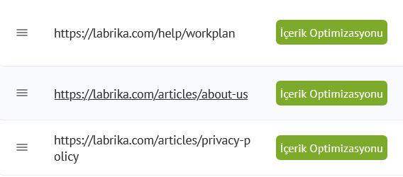 Labrika İçerik Optimizasyon Aracı: Tam Potansiyelini Kullanma ve Adım Adım Kılavuz