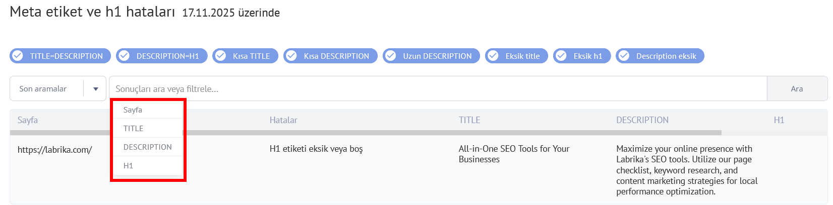 Labrika'nın SEO Denetiminde Meta Etiket ve Başlık Hatalarının Türleri