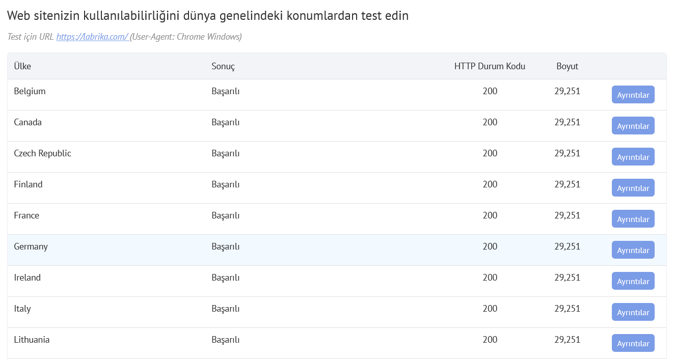 Web Sitesi Kullanılabilirliği ve Performans Kontrolü