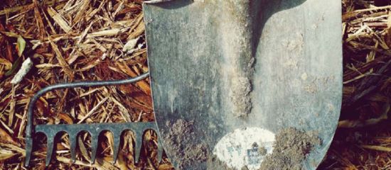 Entenda os Filtros dos Motores de Busca e Melhore o Desempenho do Seu Site