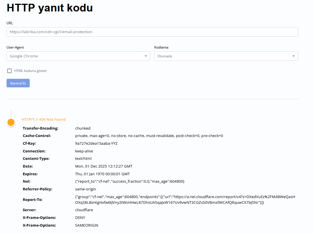404 Hatası Nedir ve Nasıl Düzeltilir? Labrika 4xx Hata Raporu