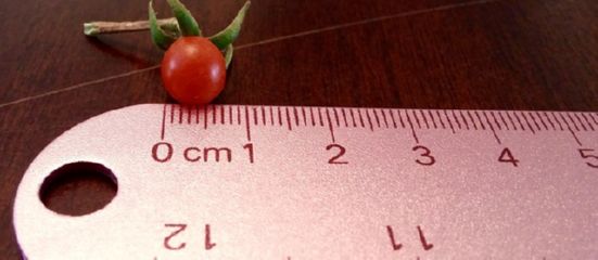 Comprendre et intégrer la microdonnée pour un SEO performant